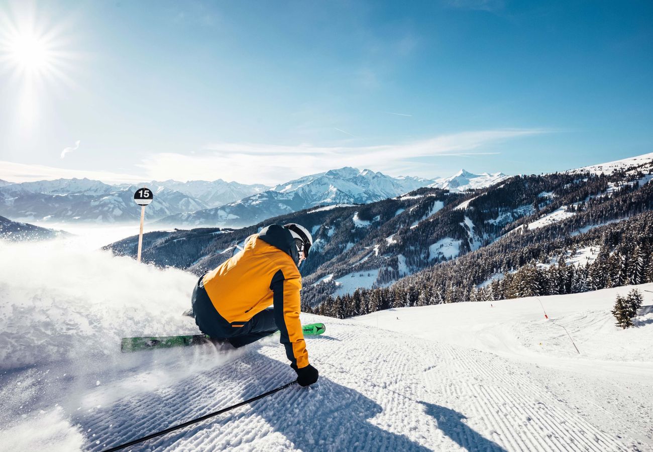 Apartment in Zell am See - Tevini Alpine Apartments - Glocknerblick