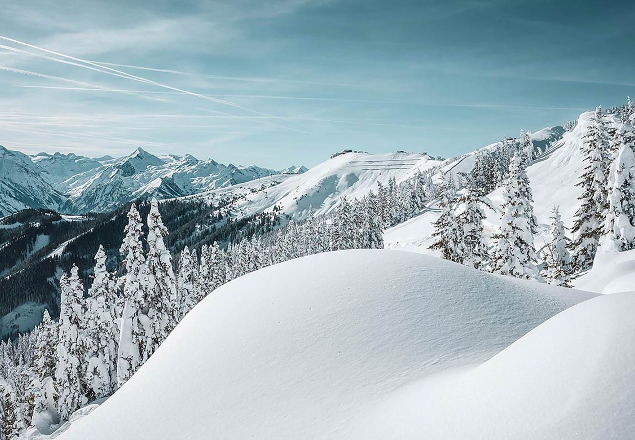 Apartment in Zell am See - Tevini Alpine Apartments - Glocknerblick