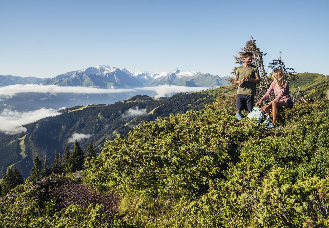 Apartment in Piesendorf - Maiskogelblick - TOP 7